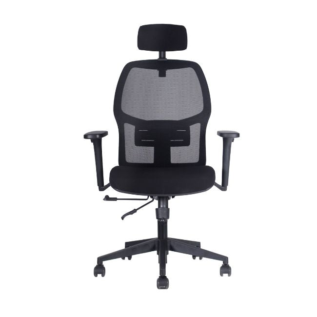 Silla De Escritorio Ergonomica Andes Lite