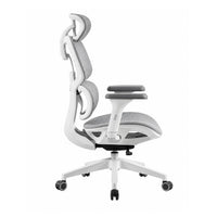 Silla De Escritorio Ergoplus Blanca